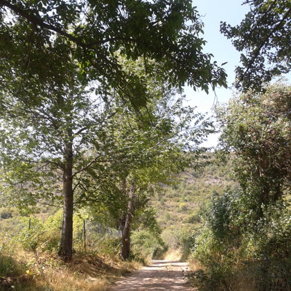 Detalle de "La Callejuela" (Paseo desde la Fuente del Arca)