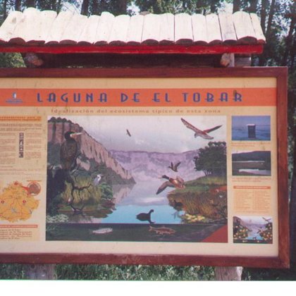 Fauna de La Laguna Grande