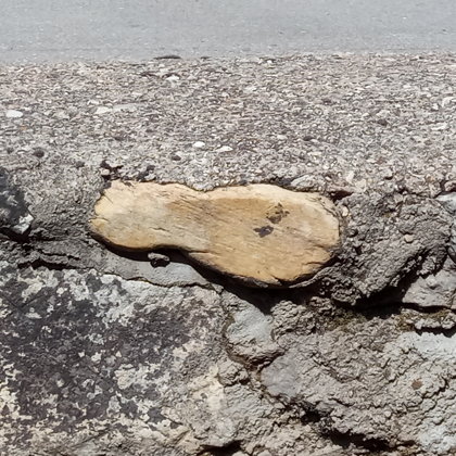 "El Pié" ¿Lo encontrarás?