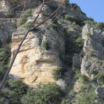 Detalle de La Cara de la Pasaílla