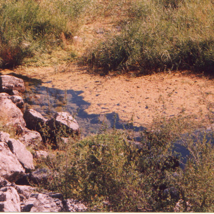 Nacimiento de La Laguna Grande