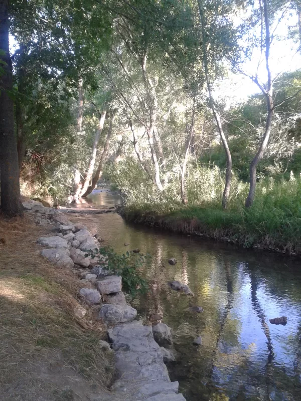 Paso del Arrollo Masegar por el pueblo