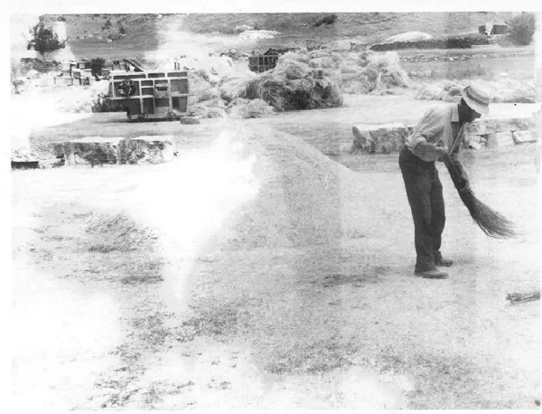 Barriendo la parva