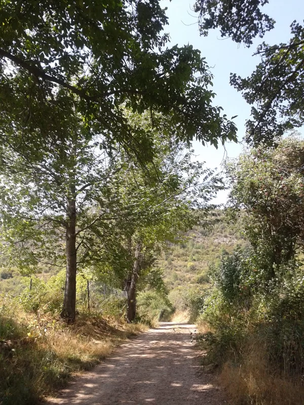 Detalle de "La Callejuela" (Paseo desde la Fuente del Arca)