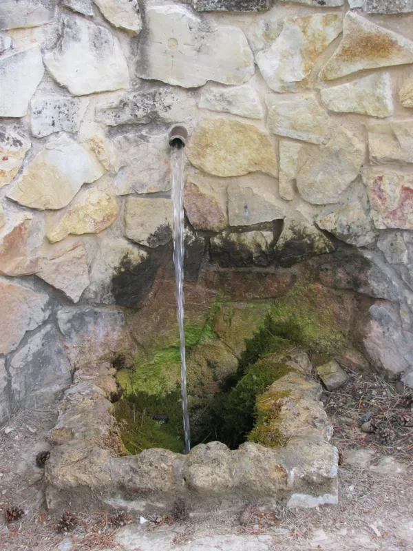 Fuente de San Juan