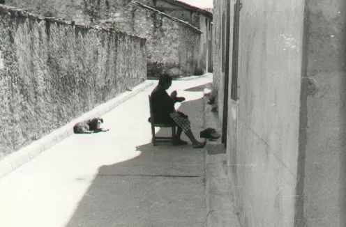 Costura a la sombra