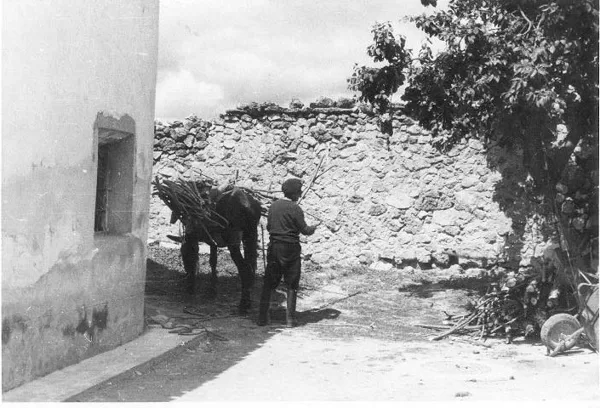 Descargando la leña