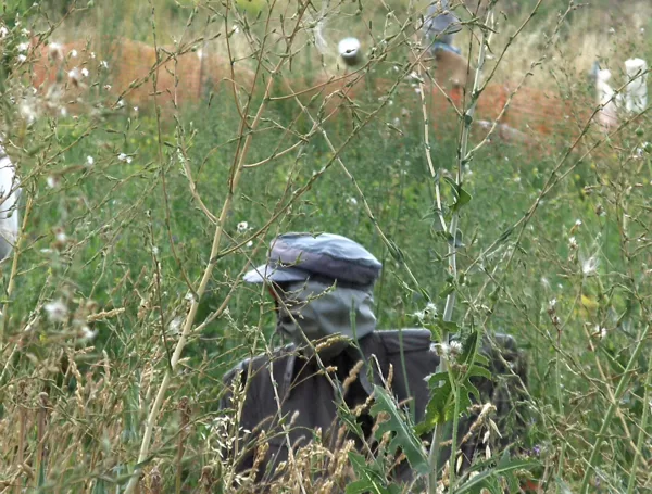 "El Vigilante"