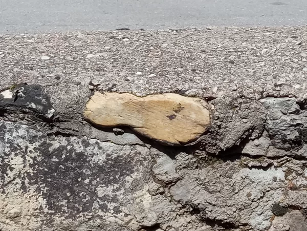 "El Pié" ¿Lo encontrarás?
