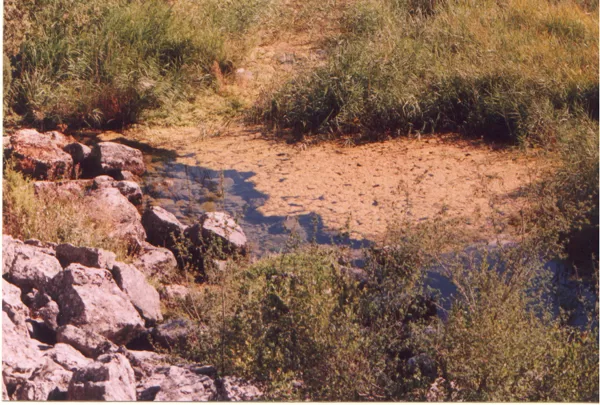 Nacimiento de La Laguna Grande