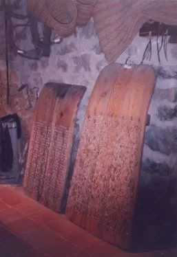 Trillas